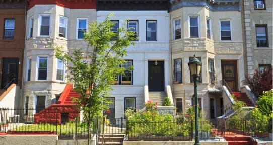 Crown Heights